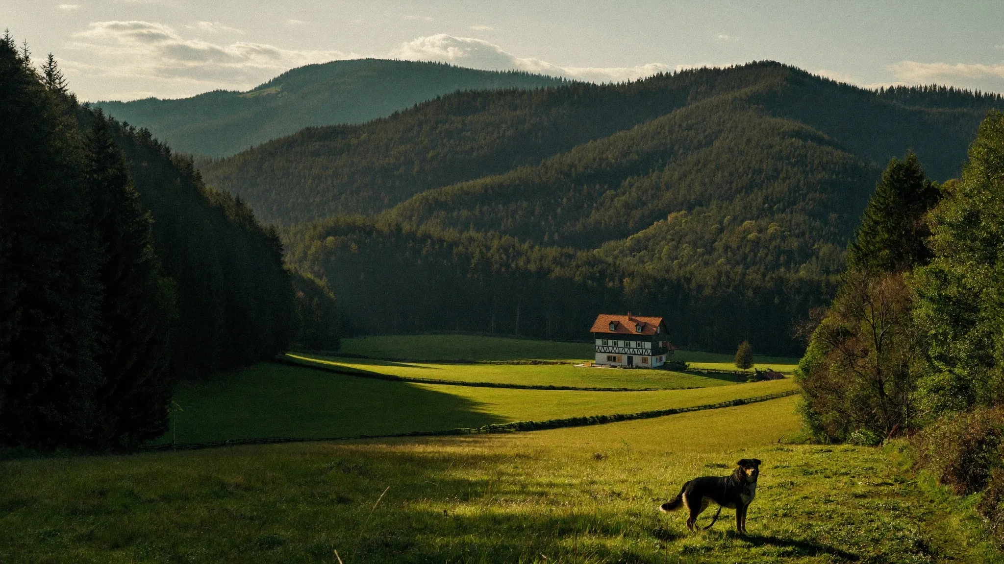 Mit Hund in Baden-Württemberg