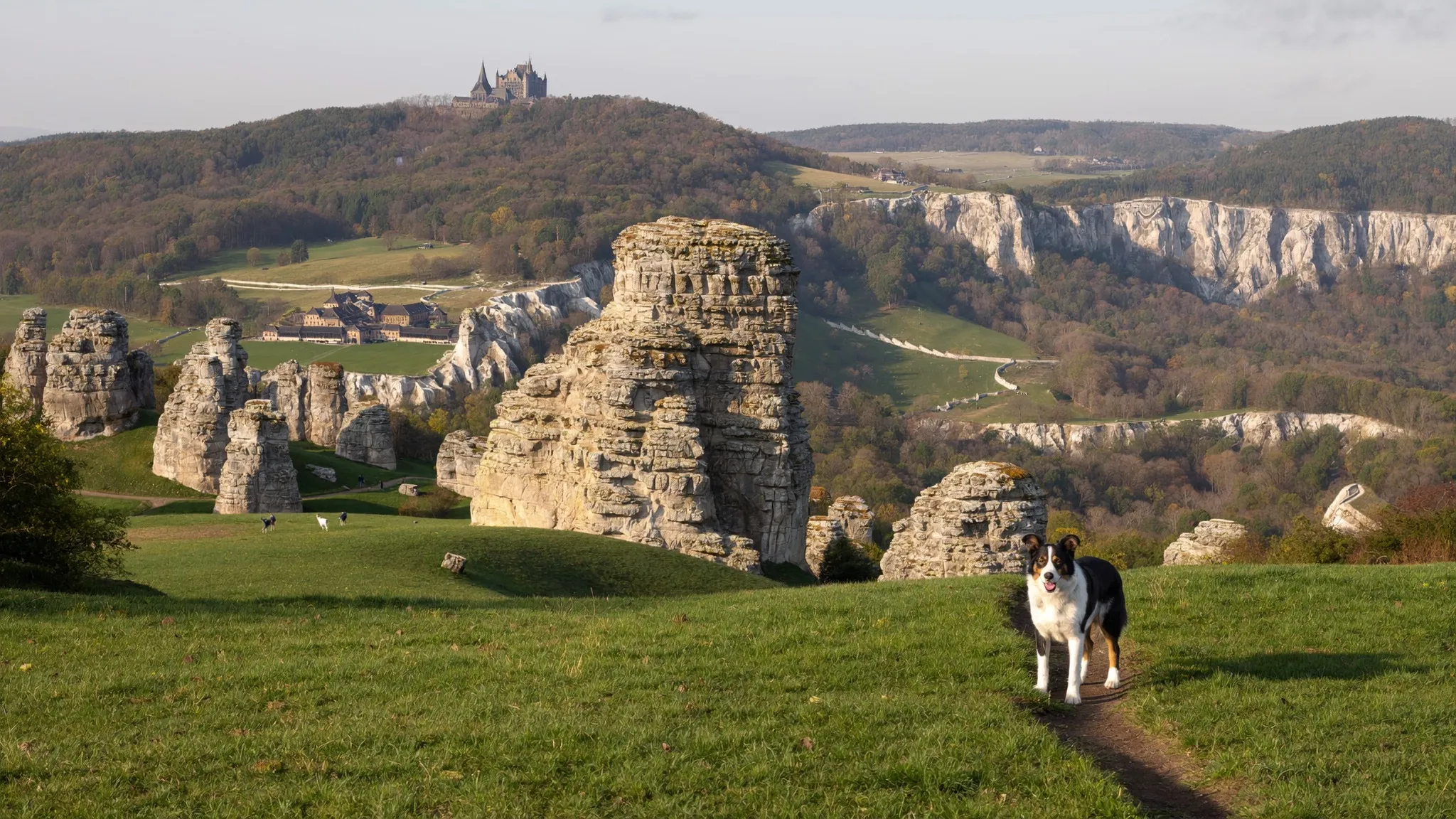Mit Hund in Franken & der Oberpfalz