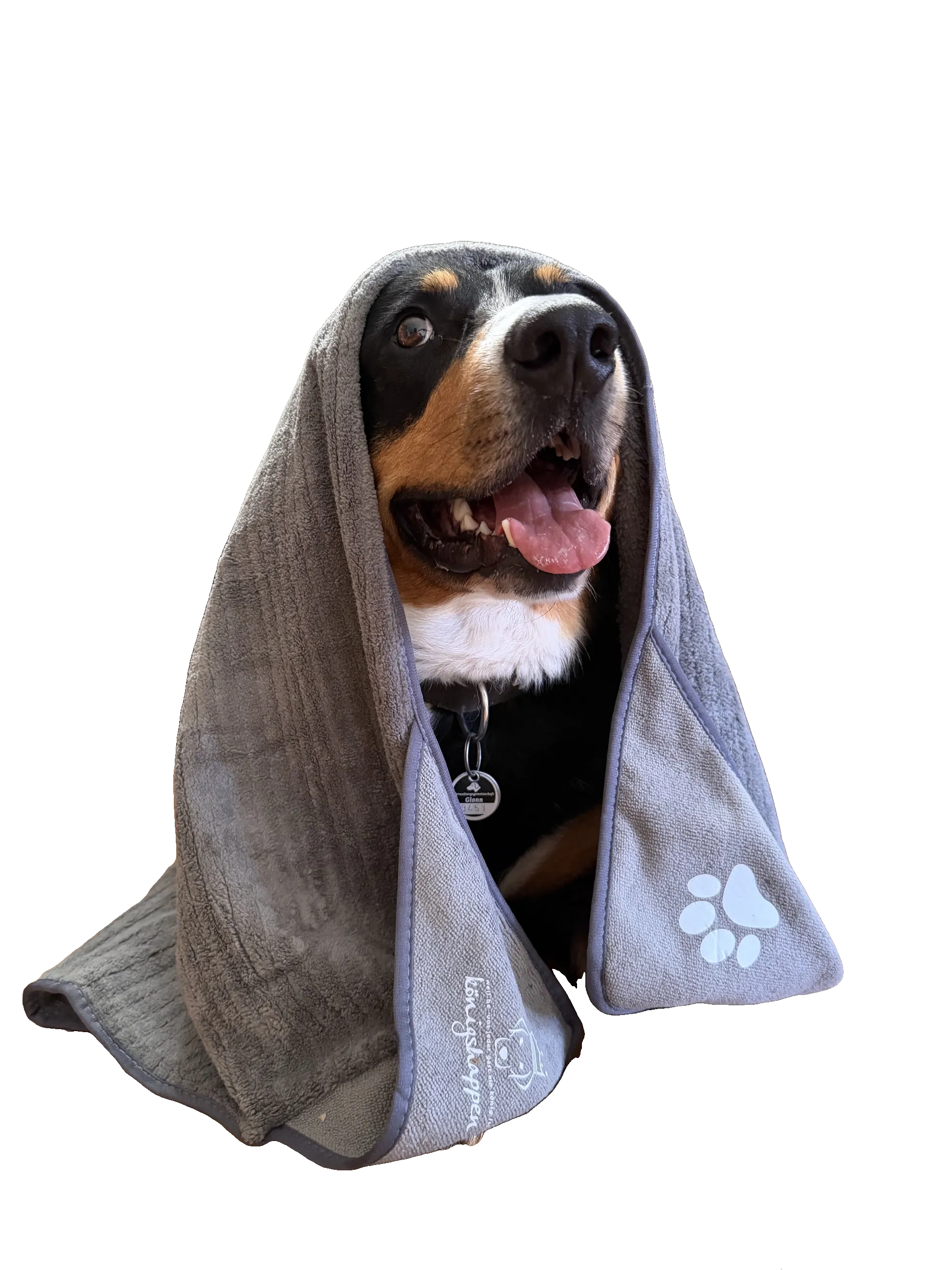 Hundehandtuch — Ansicht 3