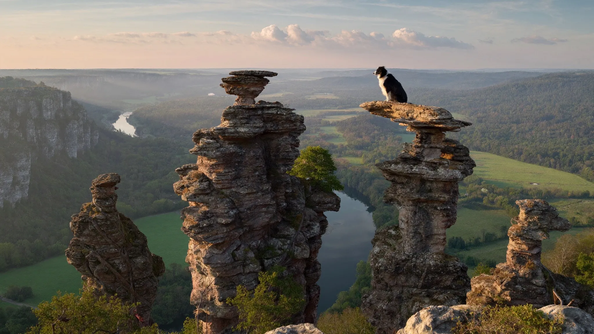 Mit Hund in Ostdeutschland