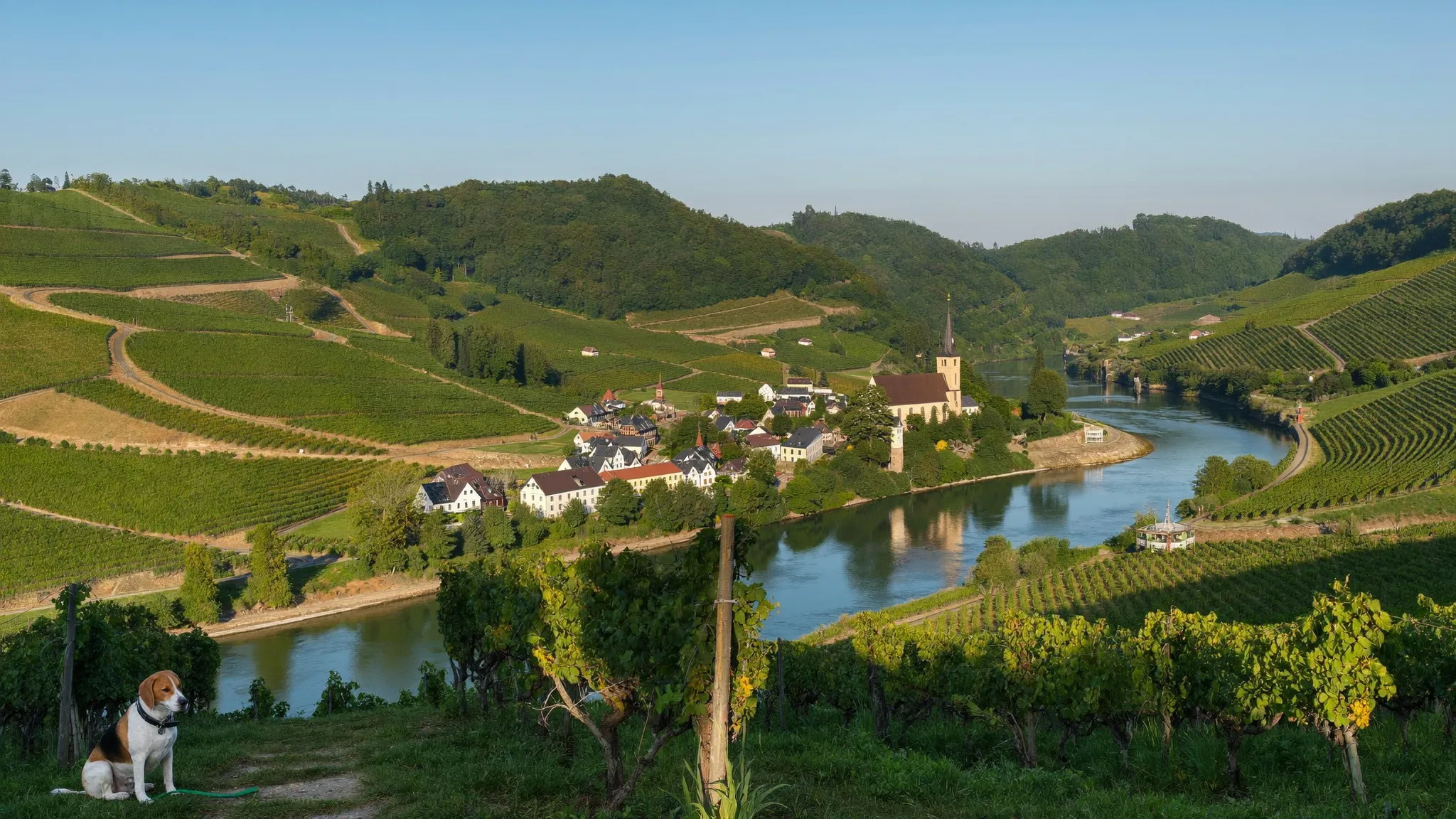 Mit Hund im Rheinland, in Eifel & Mosel